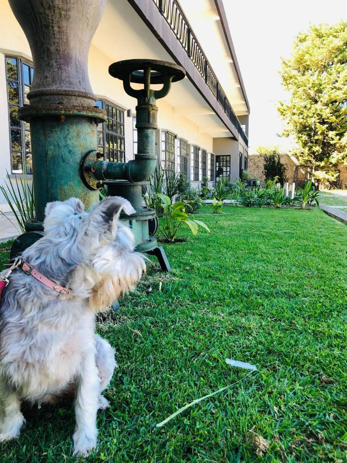 Hotel Rocaval San Cristóbal de Las Casas Zewnętrze zdjęcie